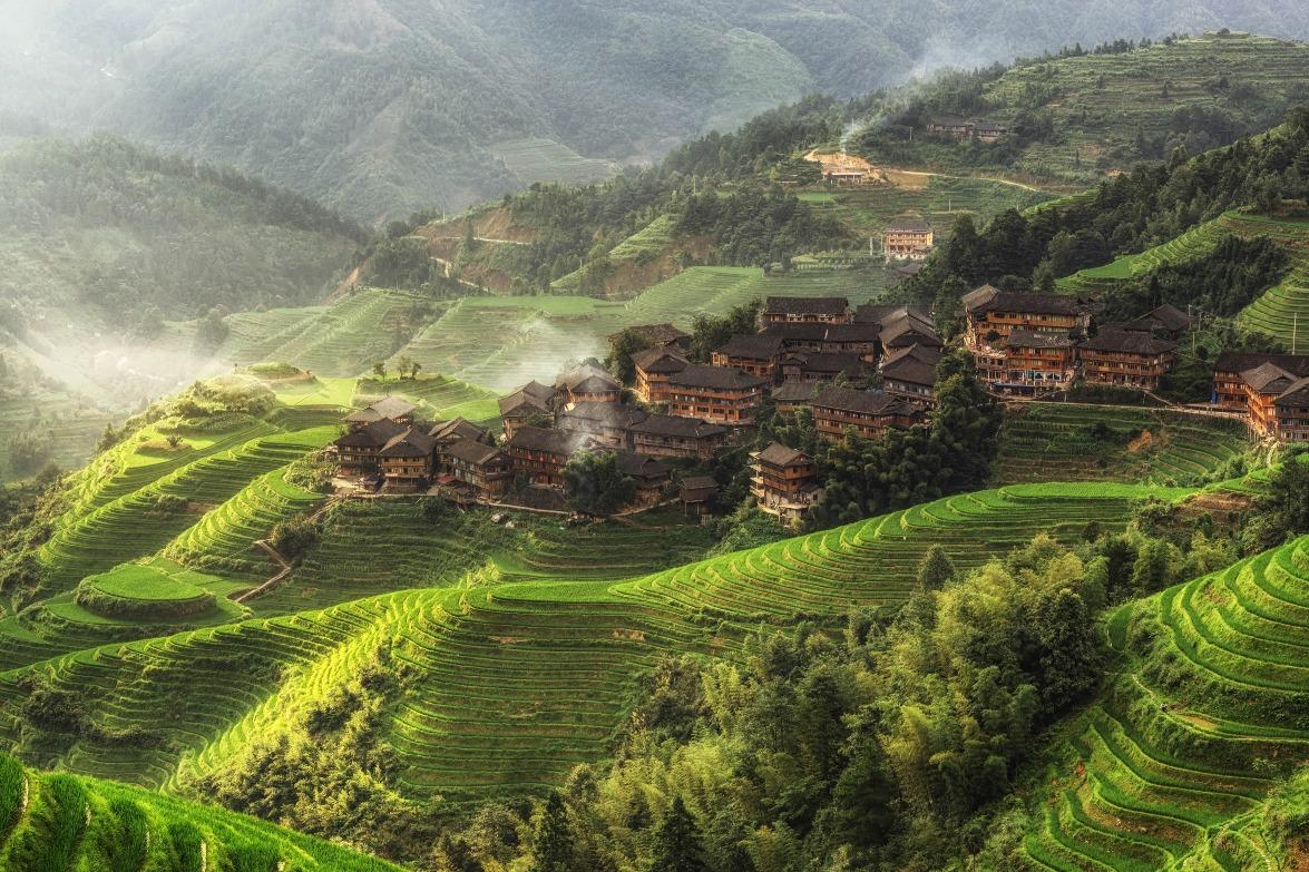 龍脊梯田,作為南方梯田代表之一,列入世界文化遺產,距今已超過650年歷史。(圖片來源:Getty)