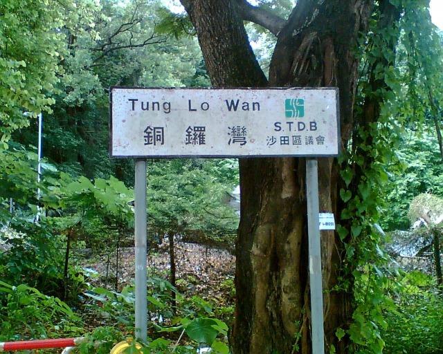 香港有兩個銅鑼灣,一個在港島,一個在沙田大圍。(網上圖片)