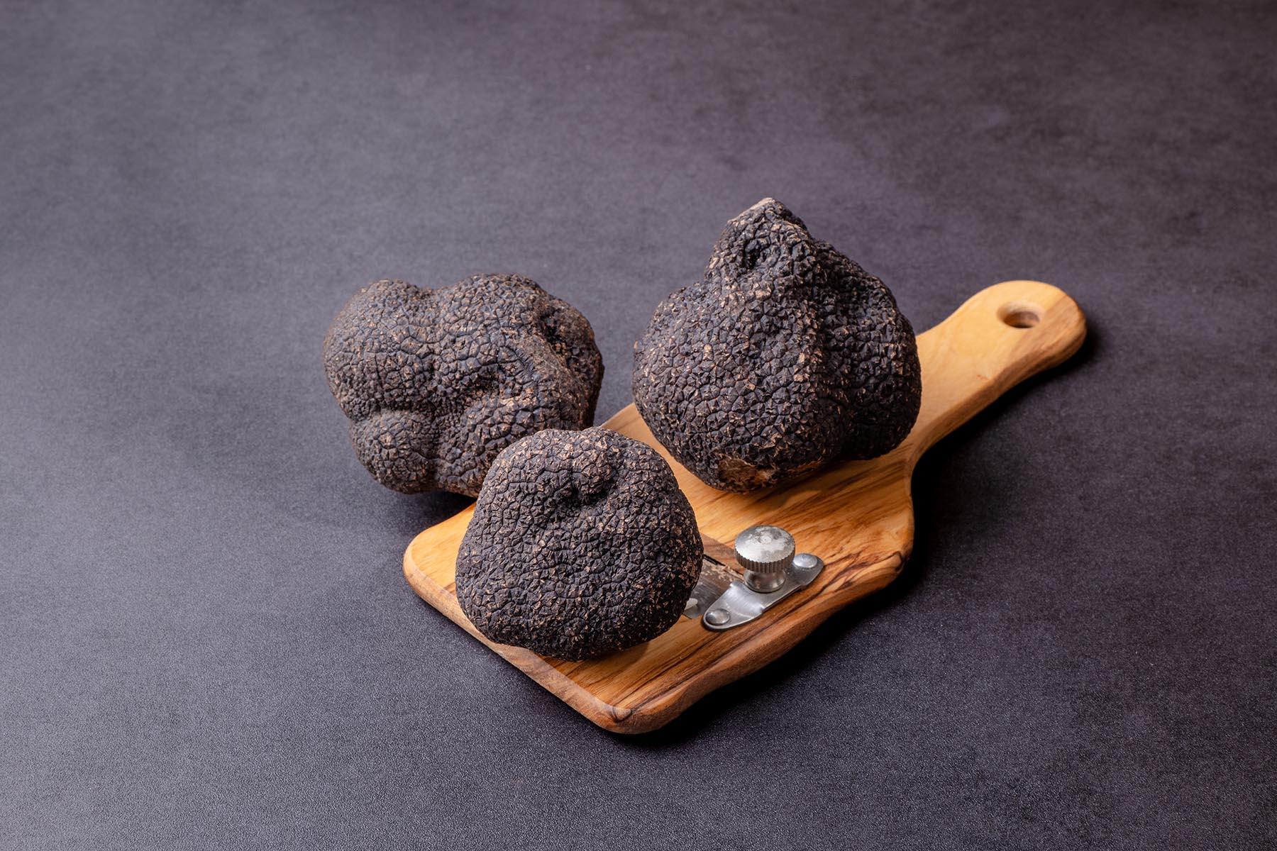 擁有「黑色鑽石」之稱的澳洲黑松露