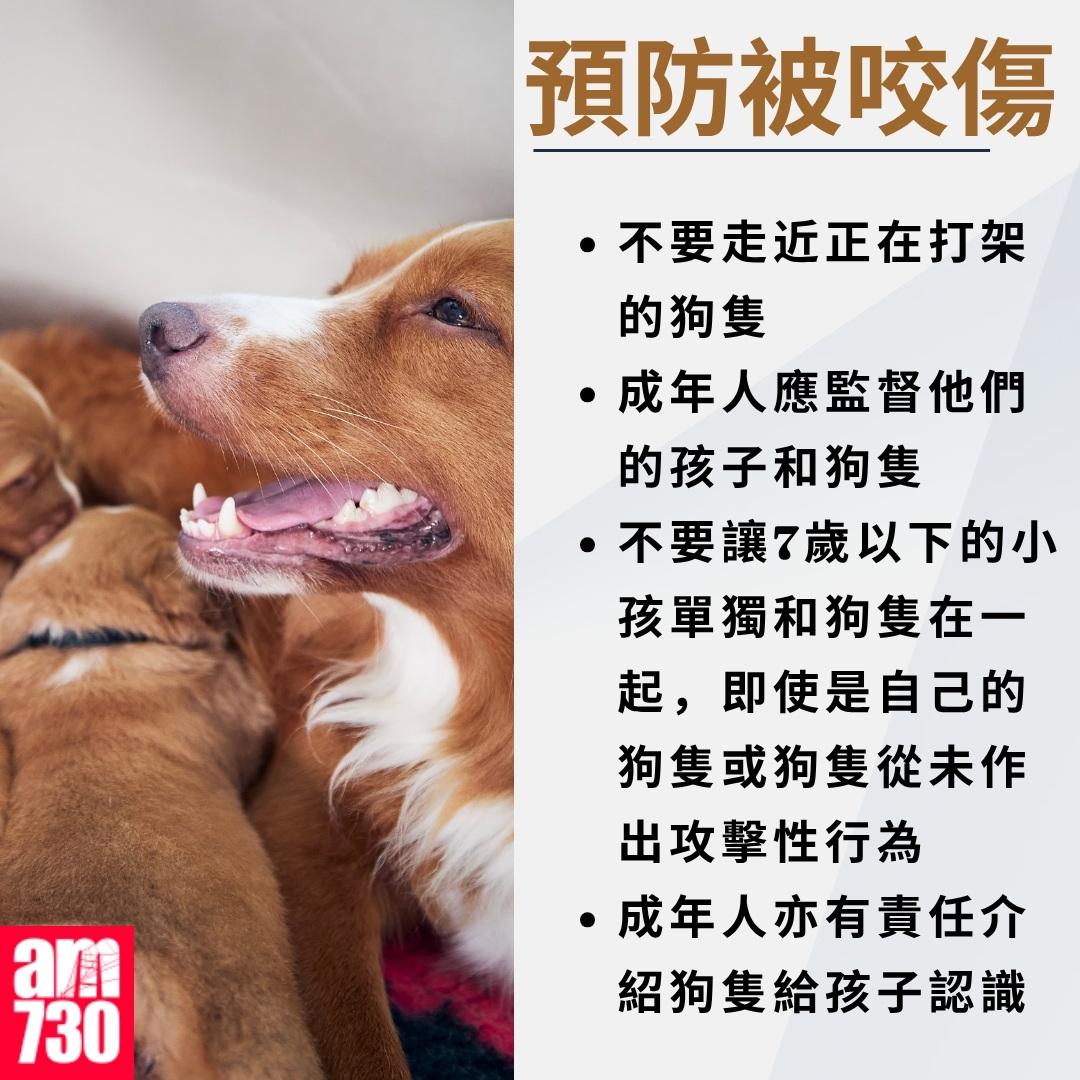 養狗注意事項|預防被咬傷(am730製圖)
