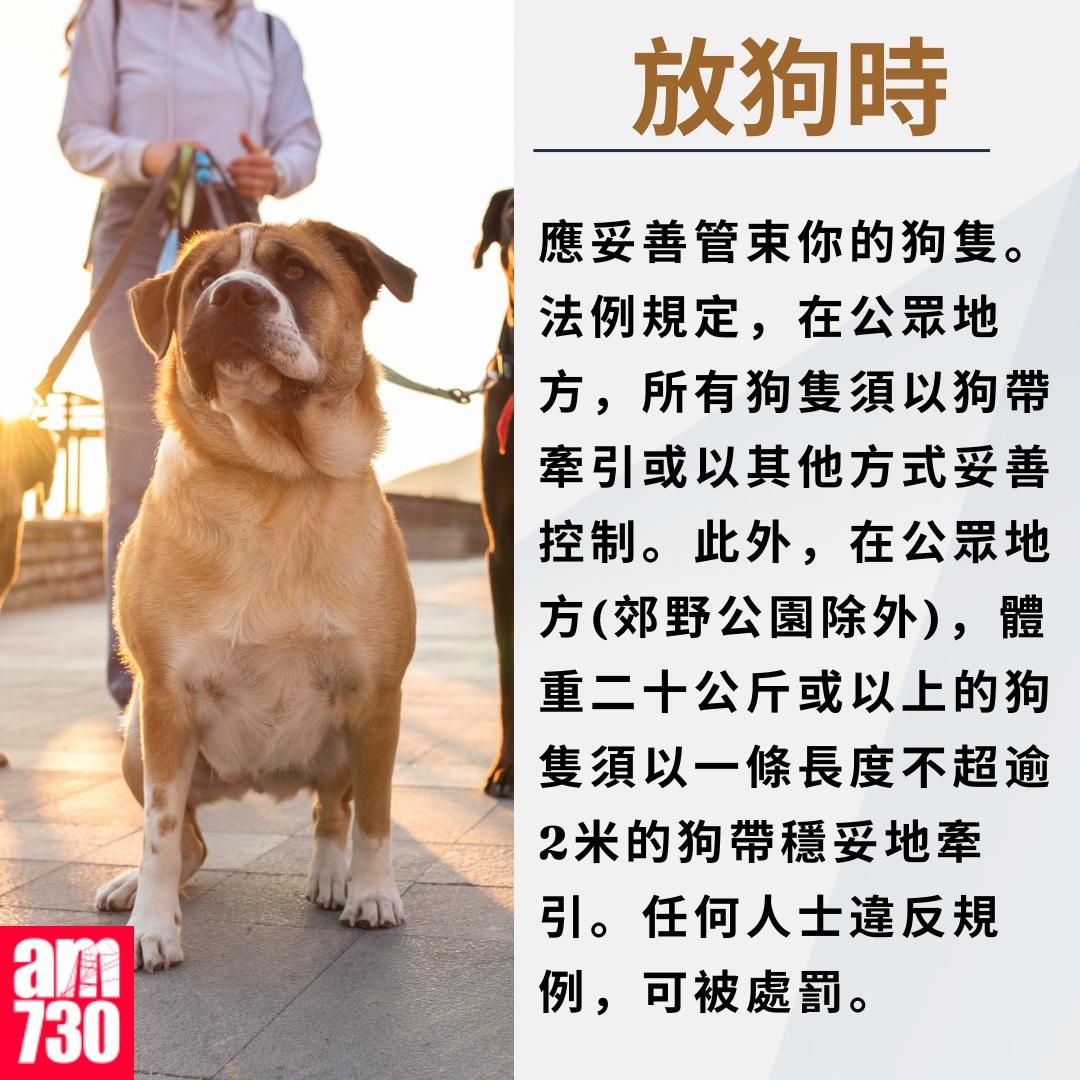 數碼港公園38歲男疑放狗起爭執 揮舞伸縮棍被捕 | am730