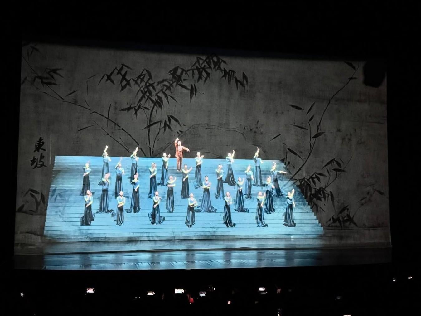 《詩憶東坡》為何引起爭議?