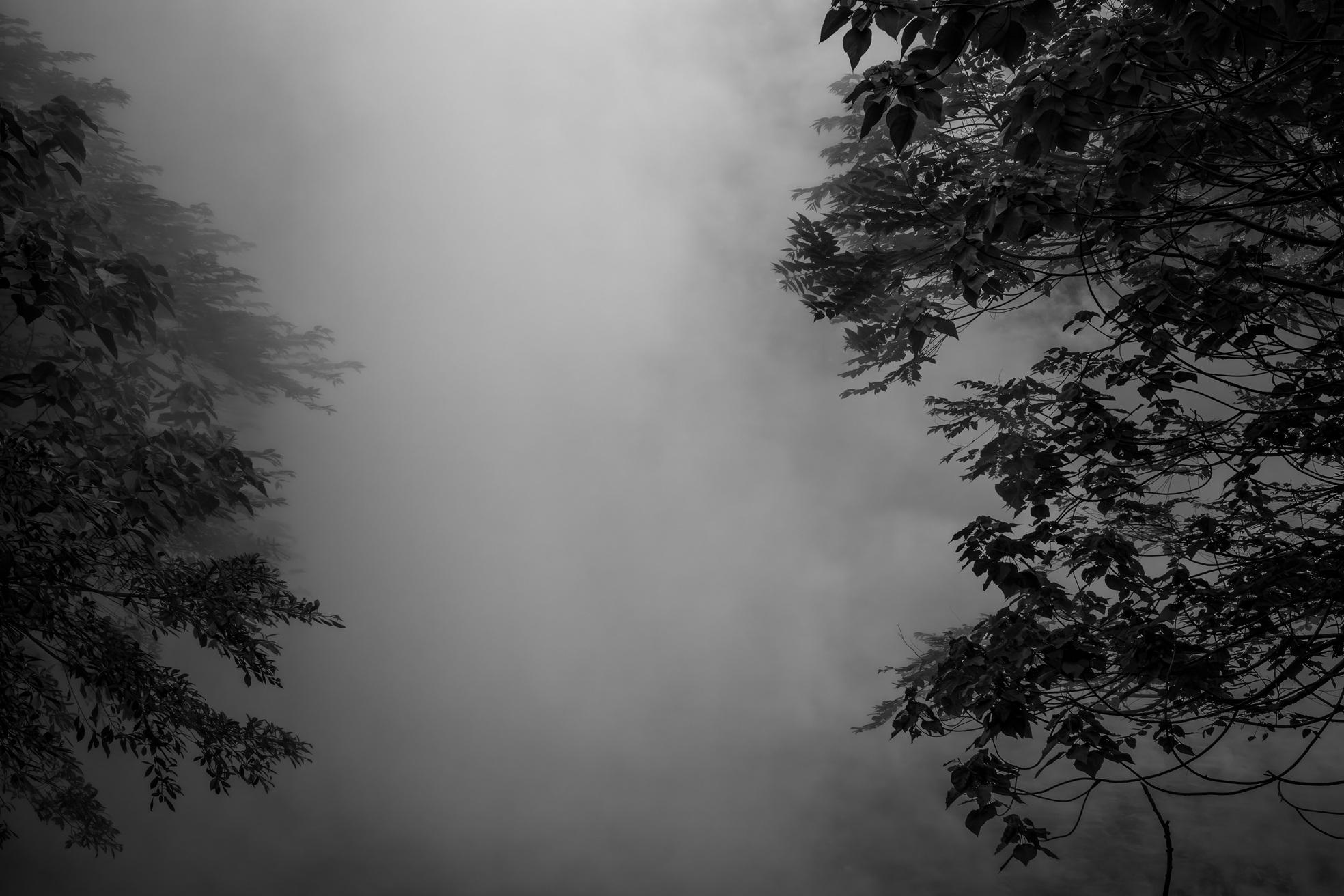 何居怡作品《Lui Bai I》。