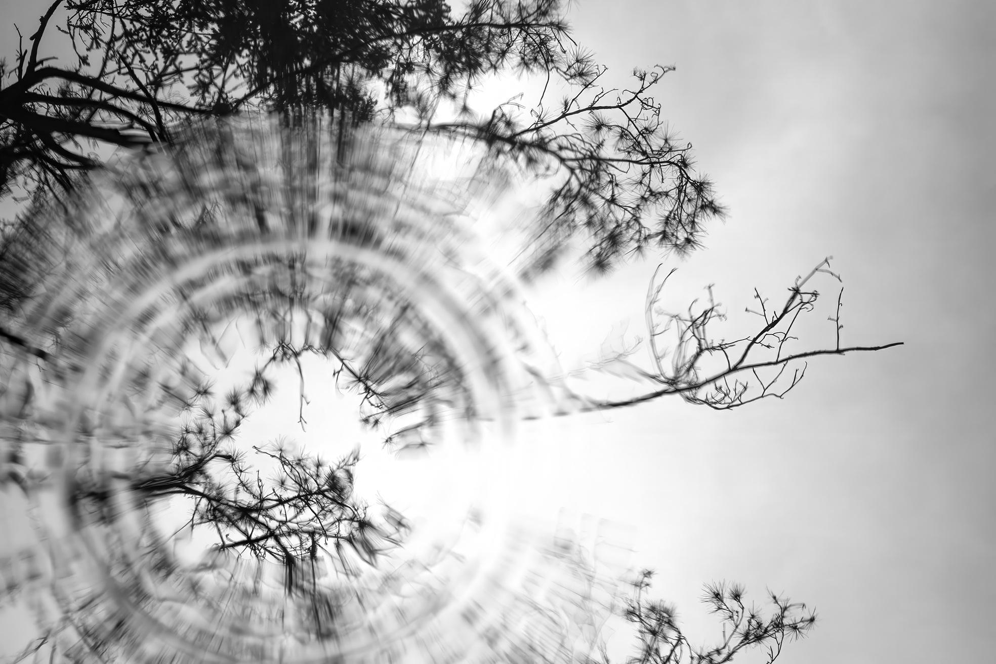 何居怡攝影作品《Untitled 1》。