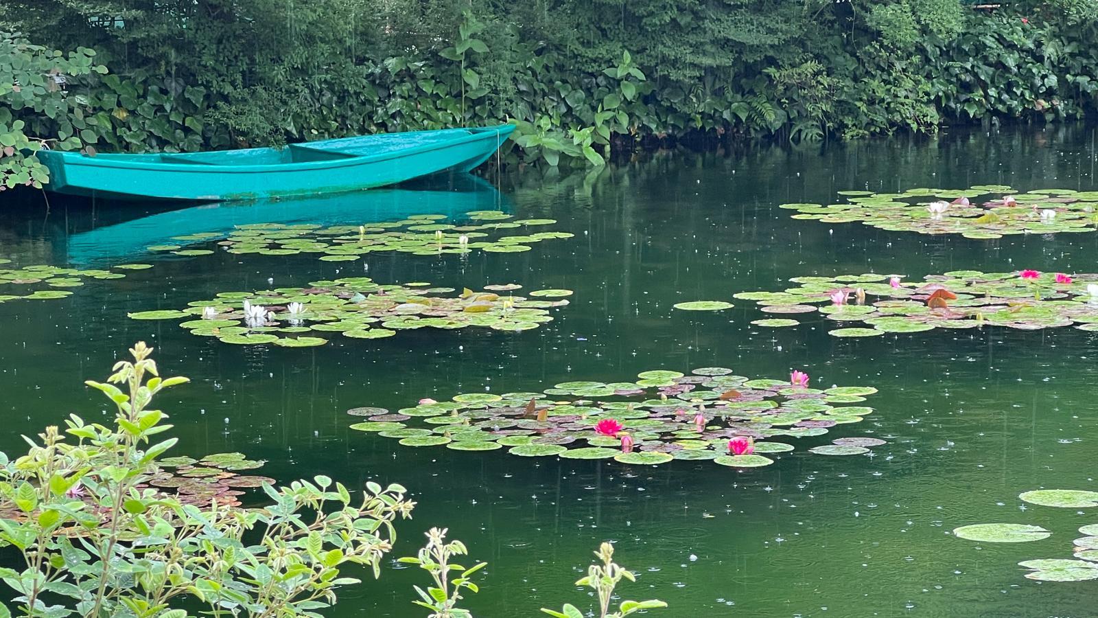日本也有「莫內花園」
