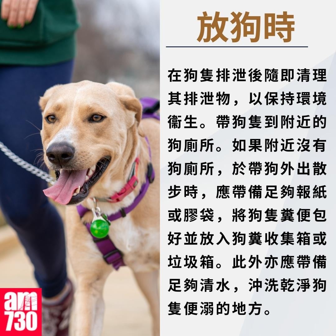 元朗狗咬狗｜YOHO大狗失控咬死細狗 目擊者發文尋「無良狗主」(有片) | am730
