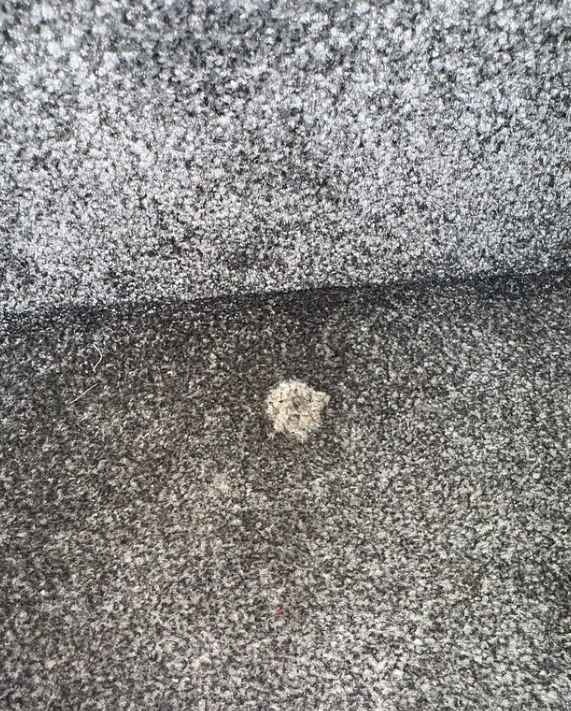 地氈上的香口膠。(互聯網)