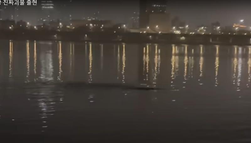 這名YouTuber眺望以為自己釣到了大魚。(YouTube)