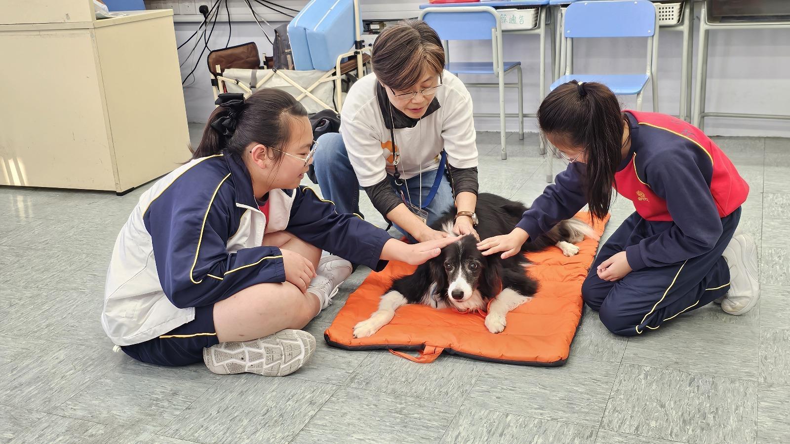佛聯會屬下7間小學取消傳統操練暑期作業及小一上學期考試。