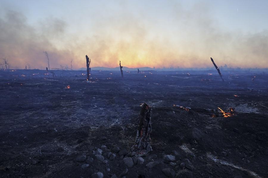 希臘氣溫達44度觸發55處山火 最少5傷