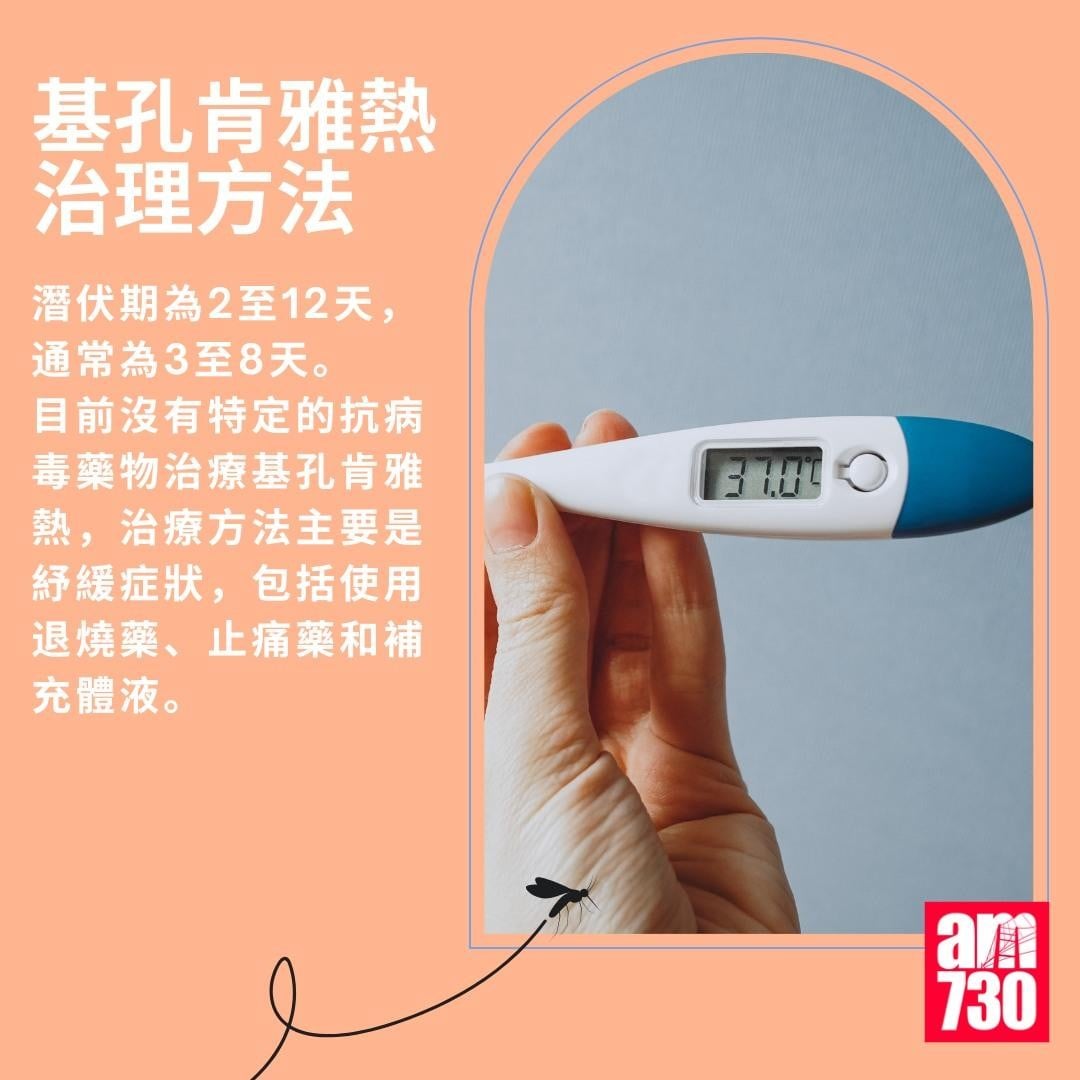 基孔肯雅熱|治理方法(am730製圖)