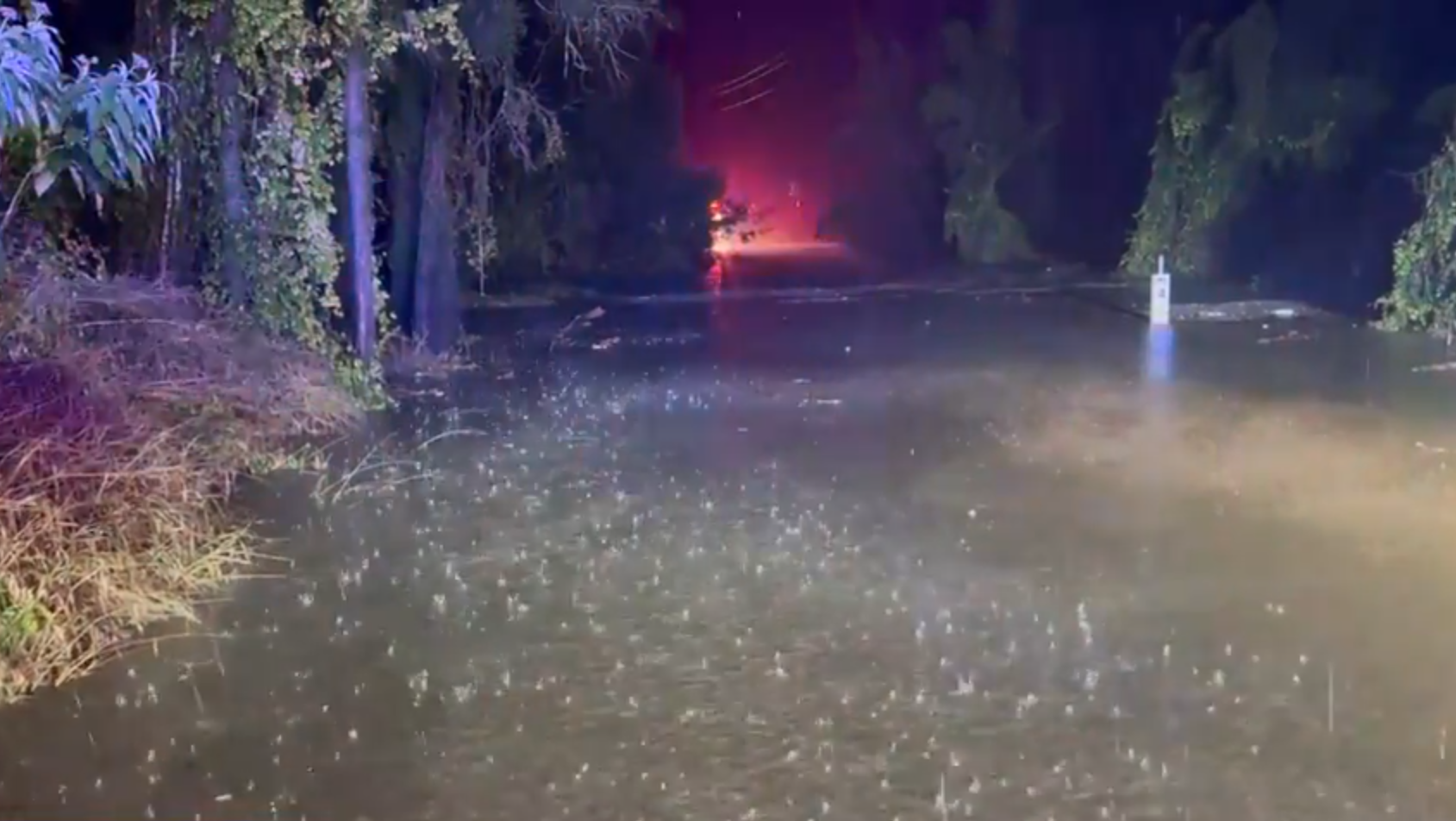 澳洲暴雨引發新南威爾士山洪 2中國女子遊獵人谷遇險一失蹤