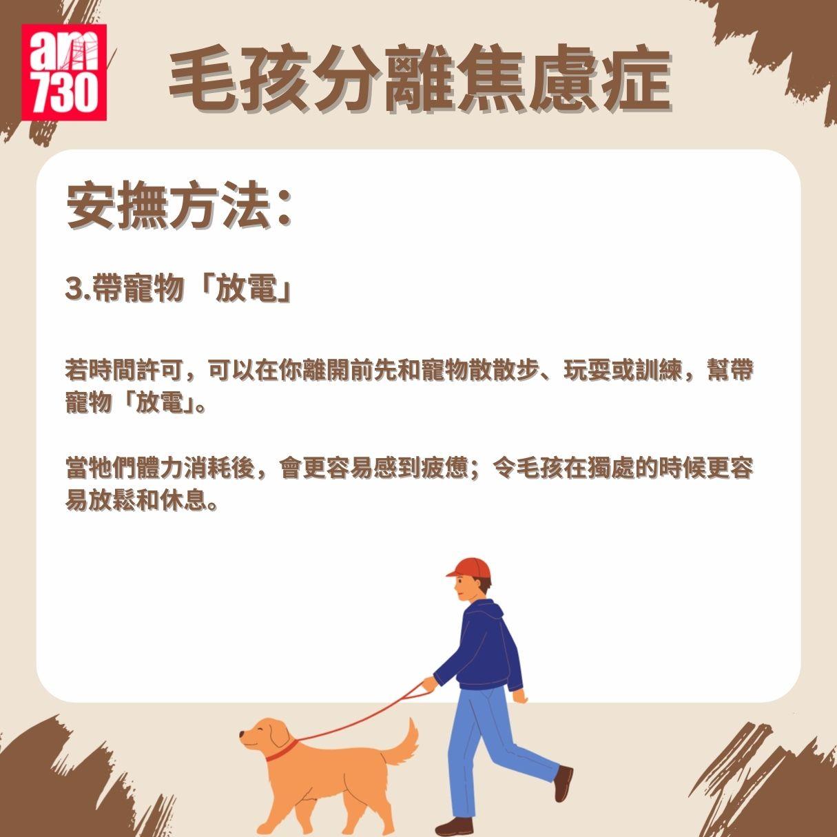 毛孩分離焦慮症成因/症狀/安撫方法懶人包