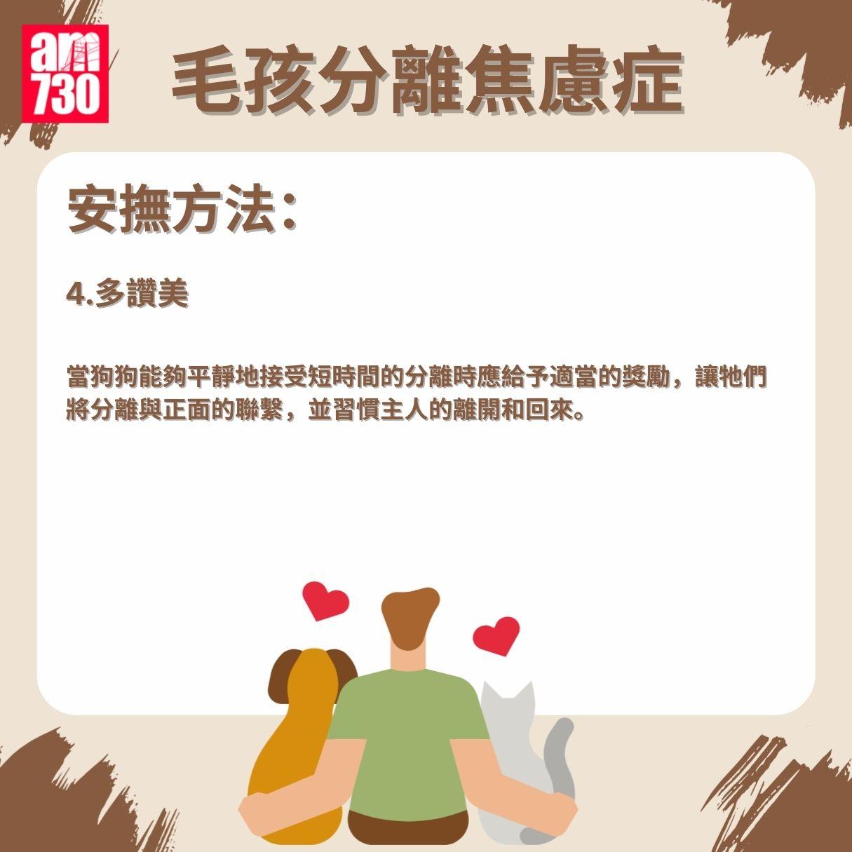 毛孩分離焦慮症成因/症狀/安撫方法懶人包