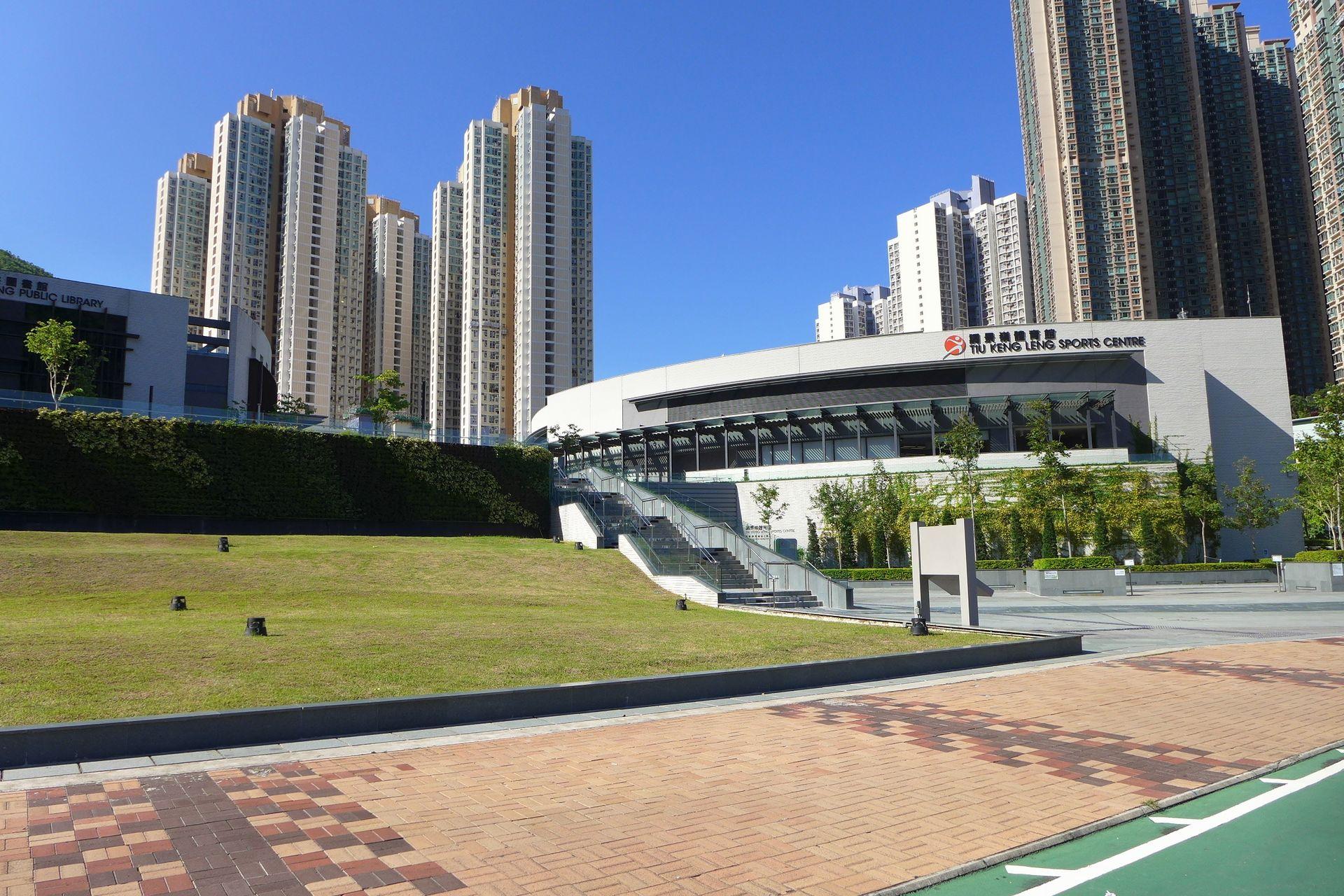 20歲男子調景嶺體育館割頸自殺。(維基百科)