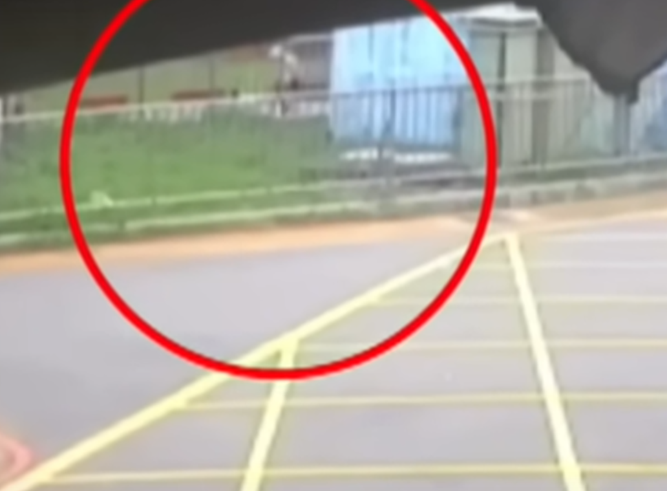 據報疑兇在44秒內狂斬死者31刀,甚至在逃逸前冷血踢對方一腳,並再次補刀,手段兇殘。(網上圖片)