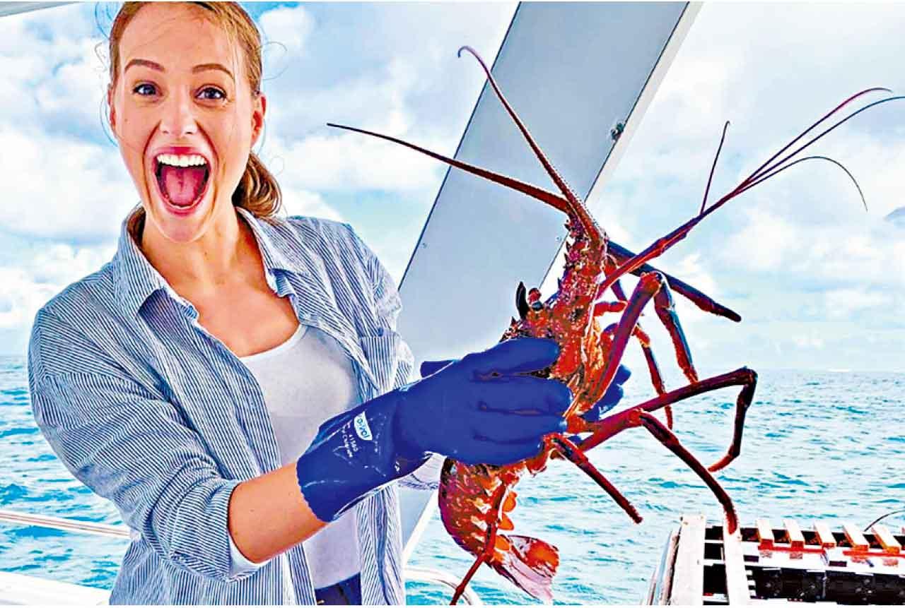 澳洲豪歎深度順序遊 11天 走進南半球歷史國度 品嘗即開即食新鮮生蠔