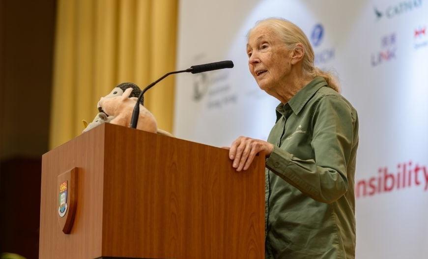 珍古德去年訪港,到港大與學生交流。(網上圖片)