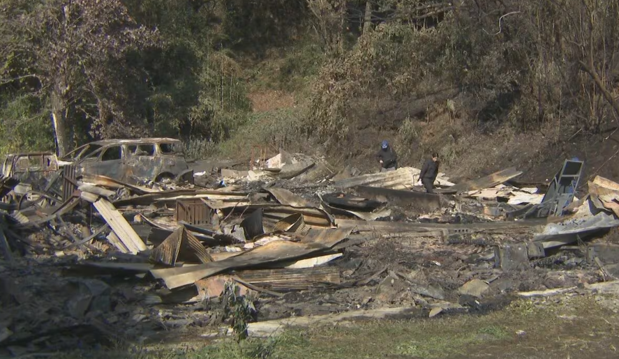 日本熊本縣菊池市周四(11月20日)有建築物發生火災,火勢蔓延至附近的森林,燒毀了一間單層木屋和兩間狗舍繁殖場,事件中無人受傷,但有約100隻狗葬身火窟,包括貴婦狗及哈士奇。(影片截圖)