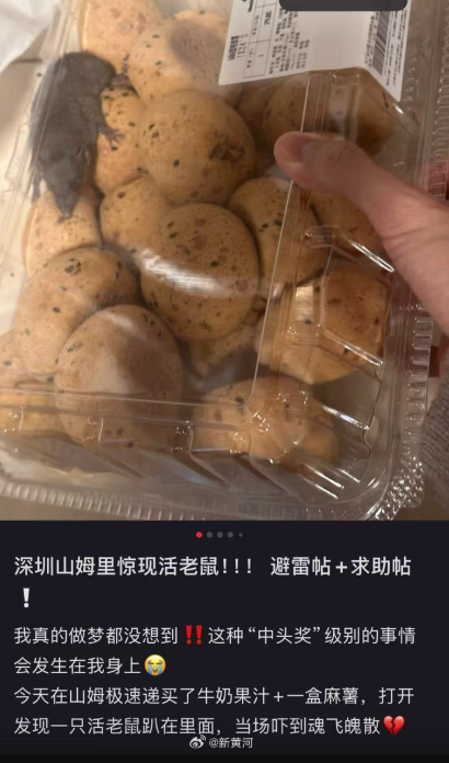 事主發文稱在山姆麻薯的盒內發現活老鼠。(互聯網)