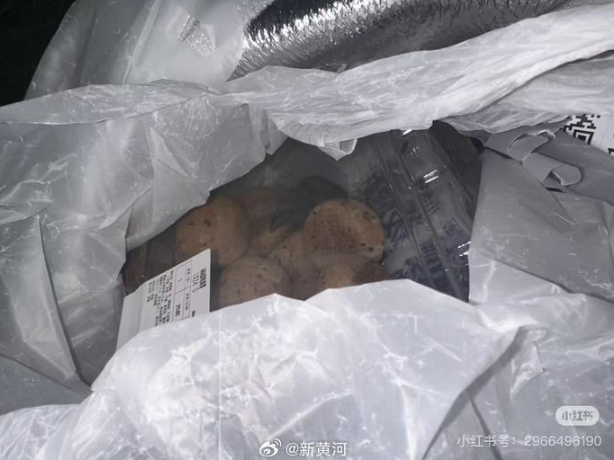 事主發文稱在山姆麻薯的盒內發現活老鼠。(互聯網)