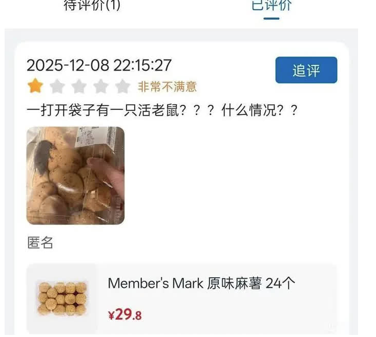 事主發文稱在山姆麻薯的盒內發現活老鼠。(互聯網)