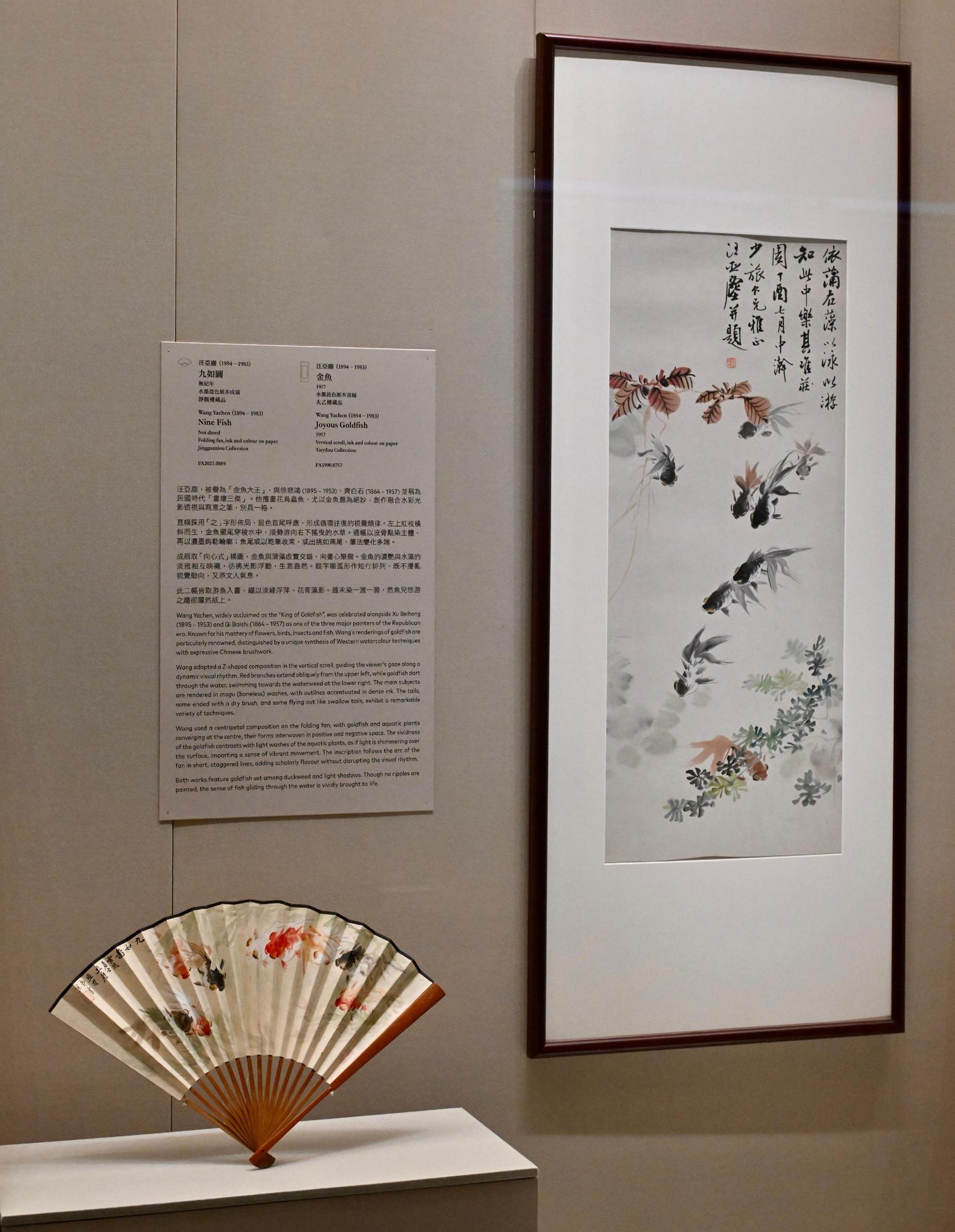 圖示汪亞塵的直幅書畫《金魚》與其摺扇《九如圖》。
