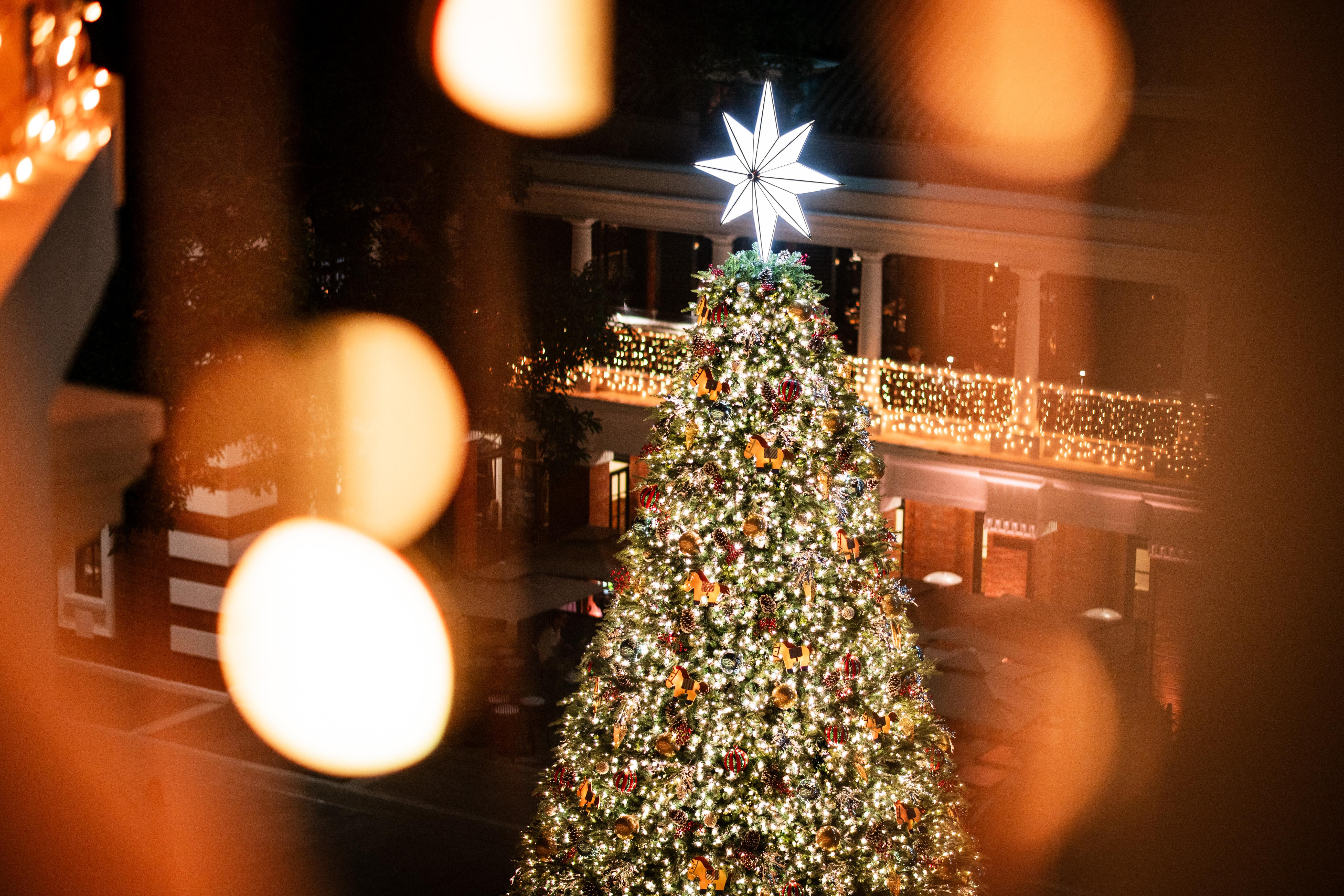 馬會 x 大館 ── 小心意 • 大眾樂 2025