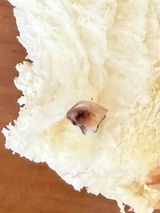 有網民發帖稱，其家人在連鎖麵包店美心西餅買入特濃牛奶麵包，進食時發現內含一隻黑色的疑似蛀牙物體(Threads)