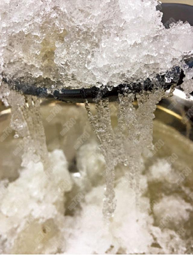 雪燕 | am730