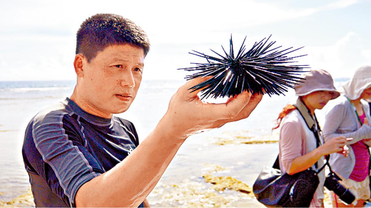 在專人指示下,大家可以親手摸摸海膽。