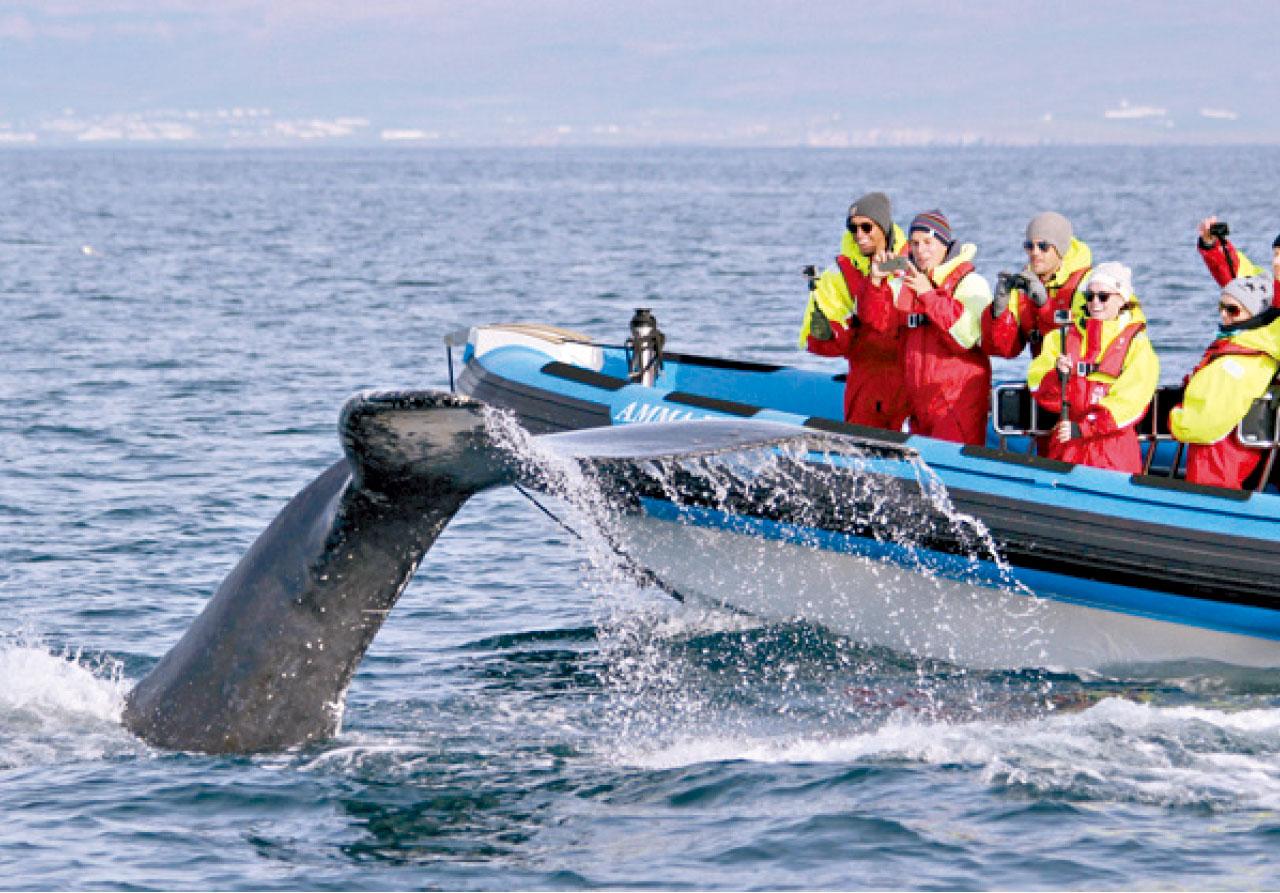 坐橡皮艇出海,感覺更加刺激。