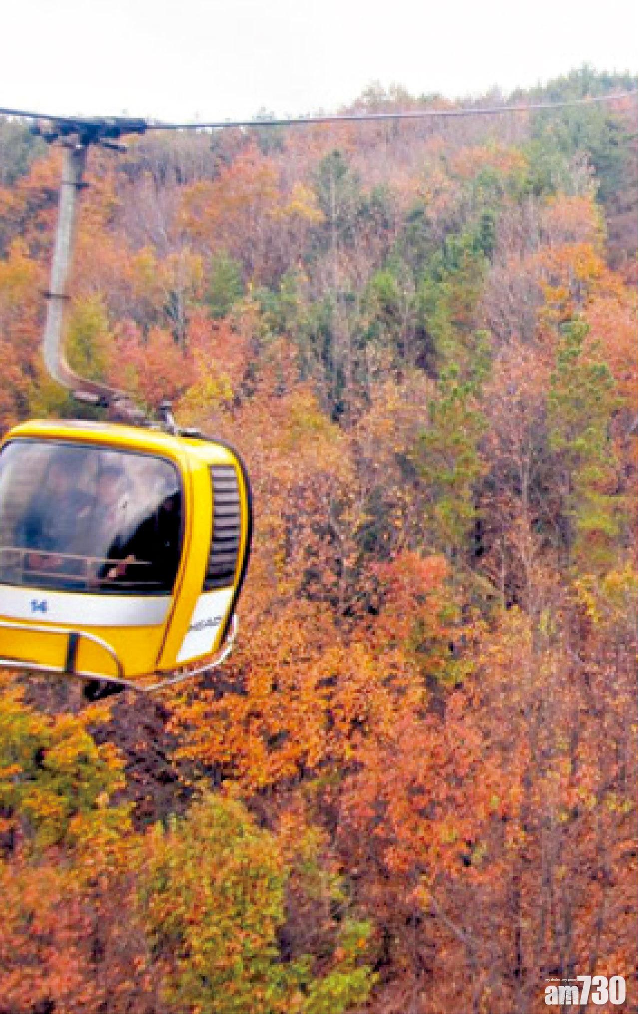 深秋來八公山,更可以欣賞到滿山火紅的秋楓美景。