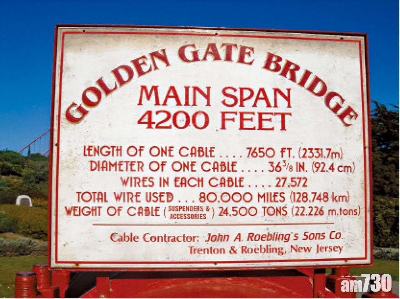 大橋鋼纜的詳盡資料。