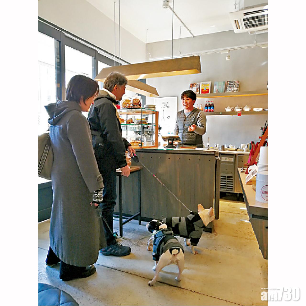 iki是歡迎寵物進店的店家,令人覺得很窩心。