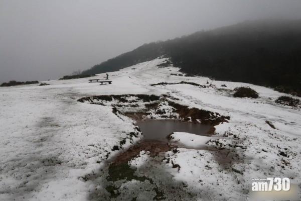 擎天崗石梯嶺雪景。(互聯網)