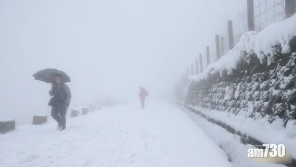 陽明山大屯山大雪紛飛。(互聯網)