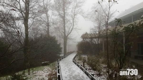 雪霸國家公園觀霧遊憩區的步道覆滿白雪。(互聯網)