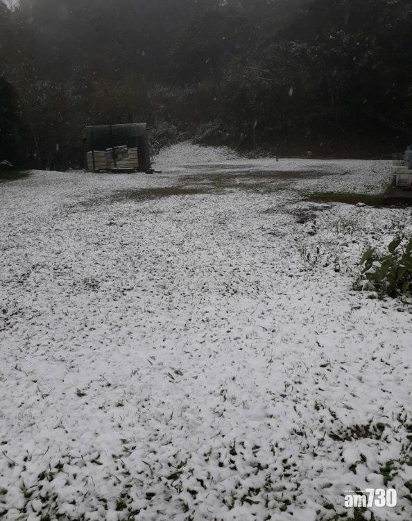 烏來信賢里下雪。(互聯網)