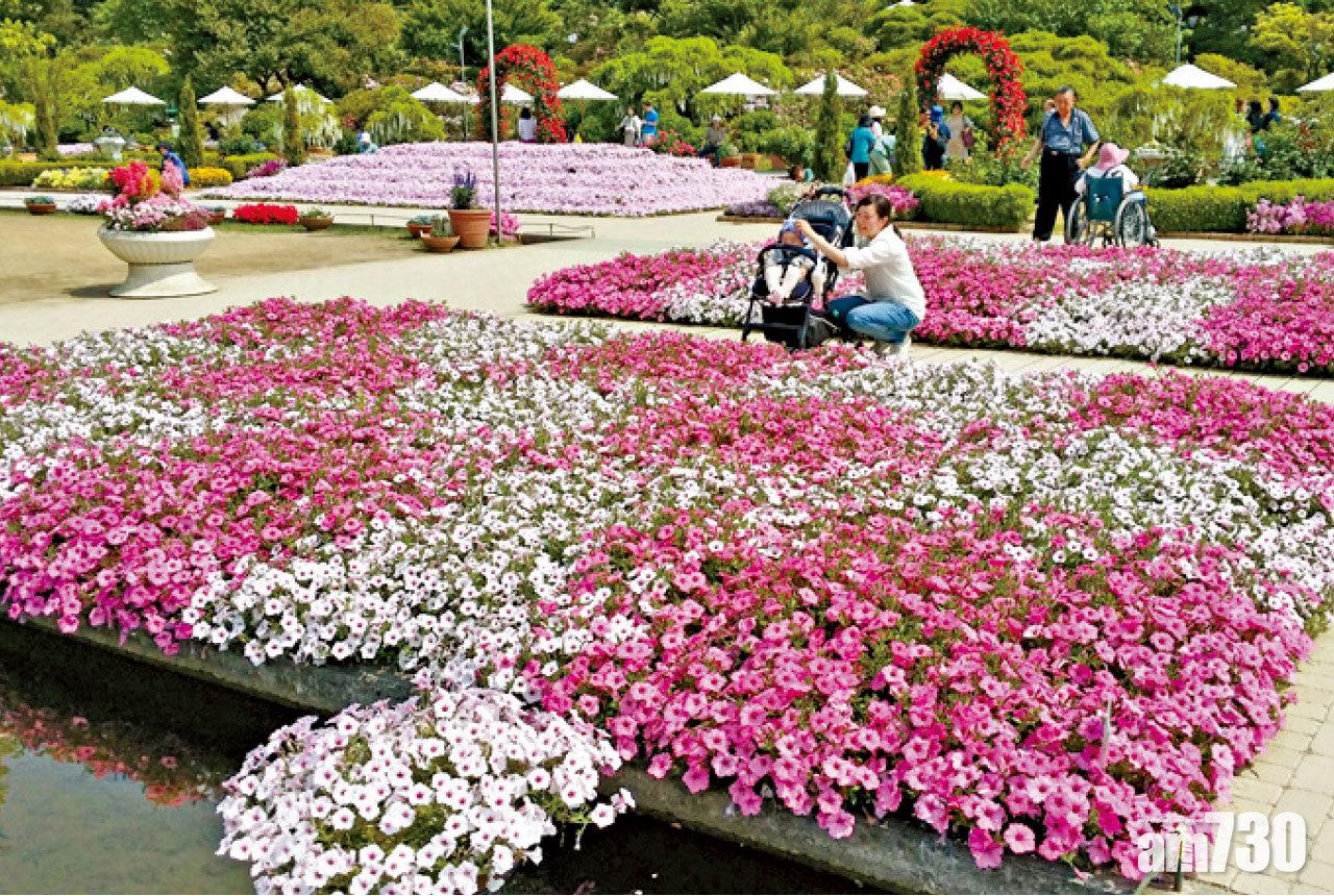 入場後率先見到盛大的百花舞台。