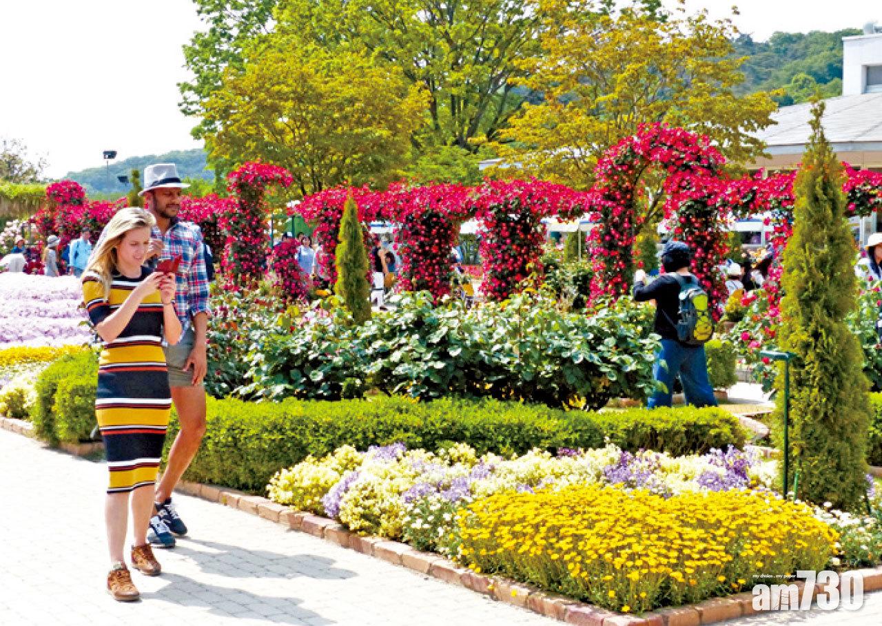 經過CNN推介,外國遊客數目近年大幅增加。