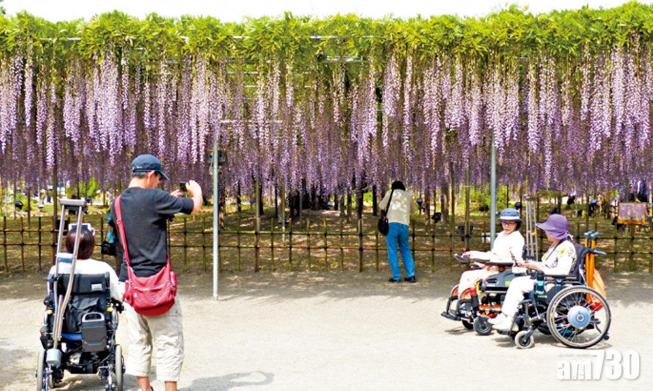 園內有供殘障人士使用的設施。