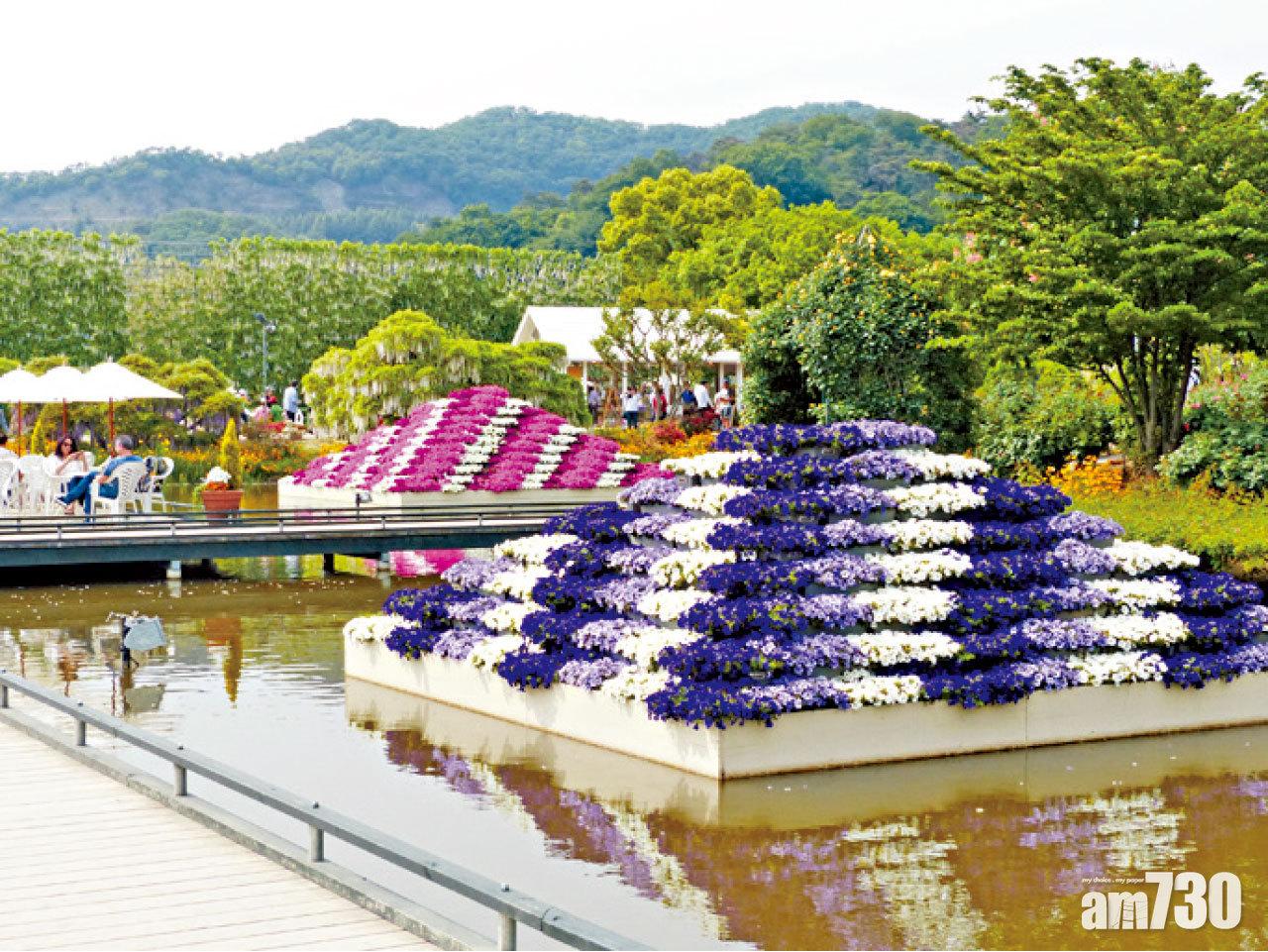 水上花壇是最佳的中途休息站。