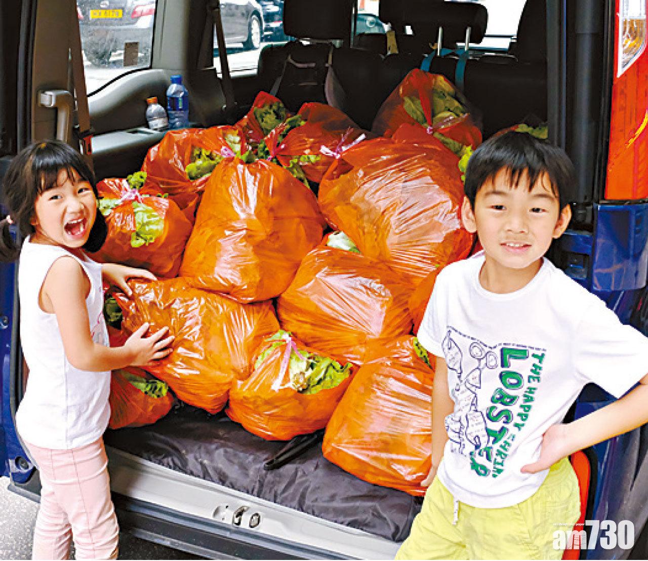 這是送給惜食堂長者的生菜,超滿足。