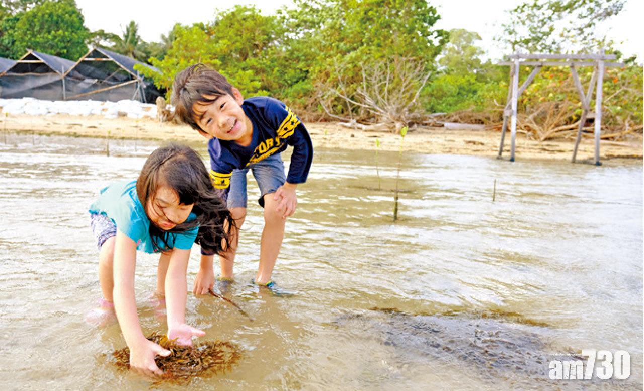 景色優美,大自然就是小朋友最佳遊樂場。