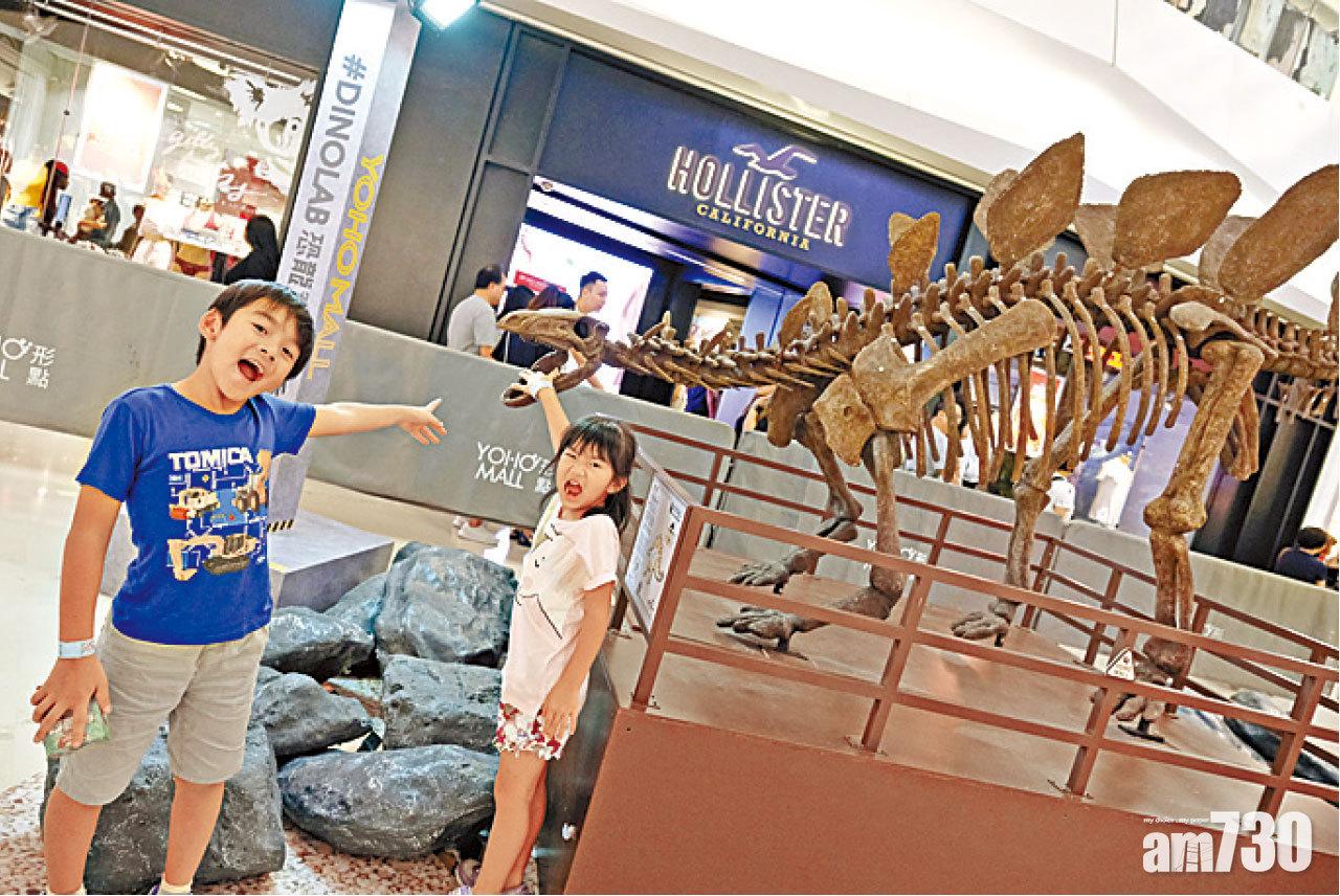 長7呎的劍龍全身骨架。