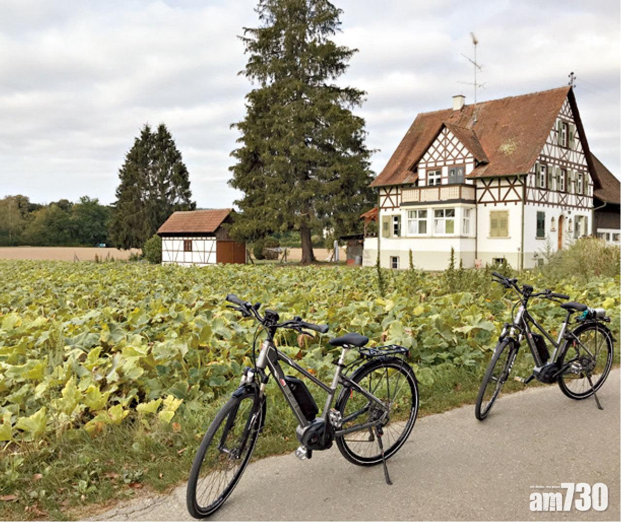 踩單車經過田野。