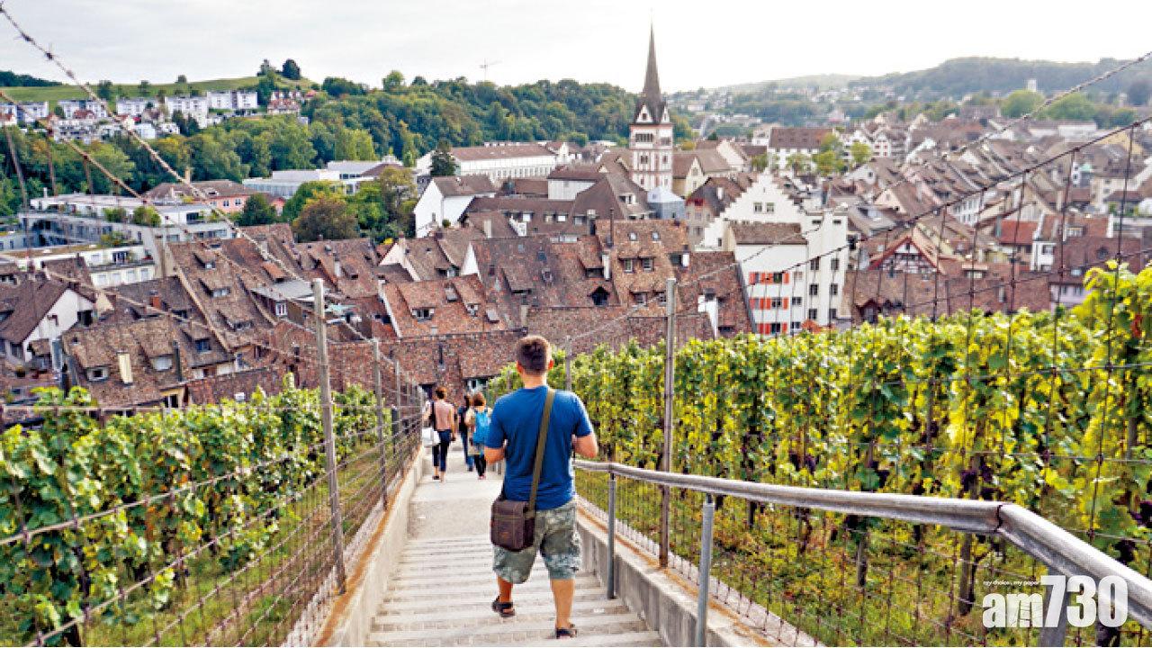 古堡樓梯旁種滿葡萄。