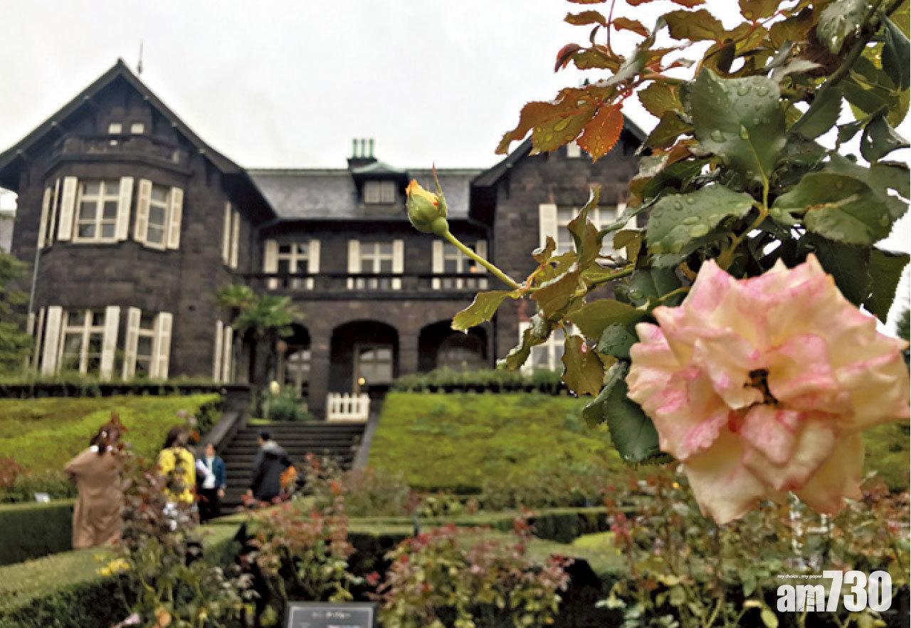 舊古河園的英國玫瑰花園令人以為身處歐陸。