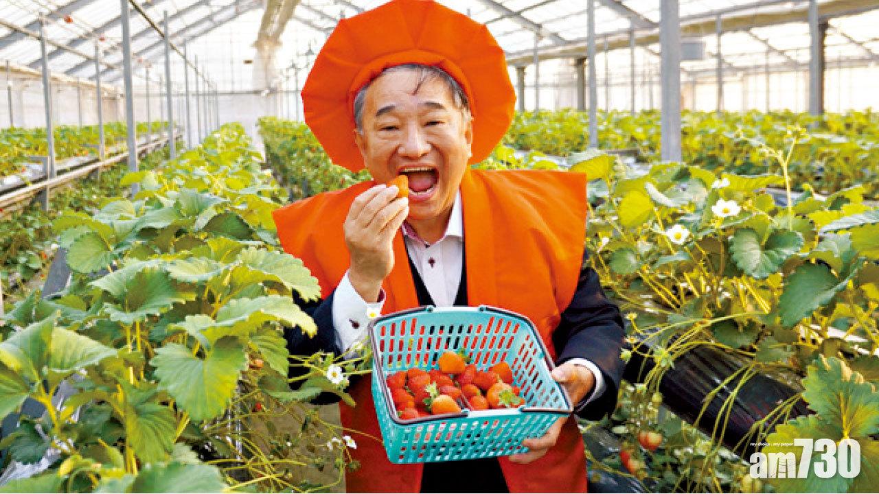 草莓園主山口成美。